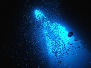  Bolle Blu 